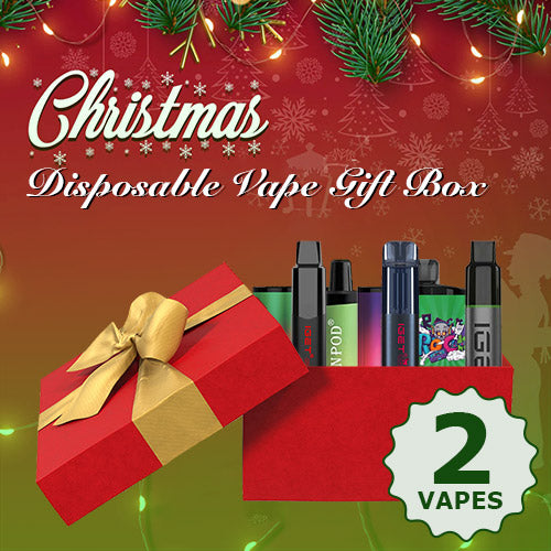 2x Disposable Vape Christmas Gift Box