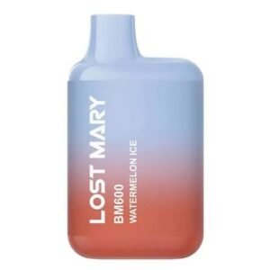 Lost Mary